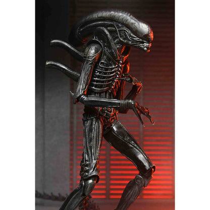 Alien: Romulus - Xenomorph XX121 - Ultimate Actionfigur - 18 cm